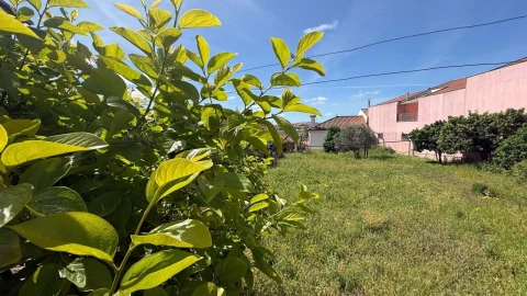 Terreno para Venda em Vila Flor e Nabo