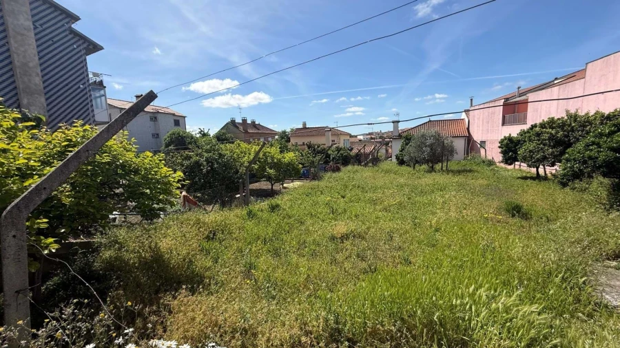 Terreno para Venda em Vila Flor e Nabo Foto 2