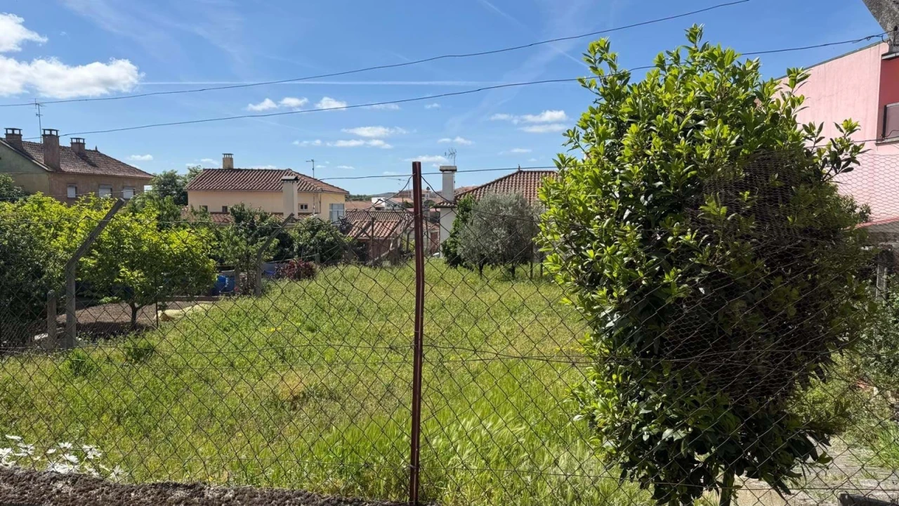 Terreno para Venda em Vila Flor e Nabo Foto 6