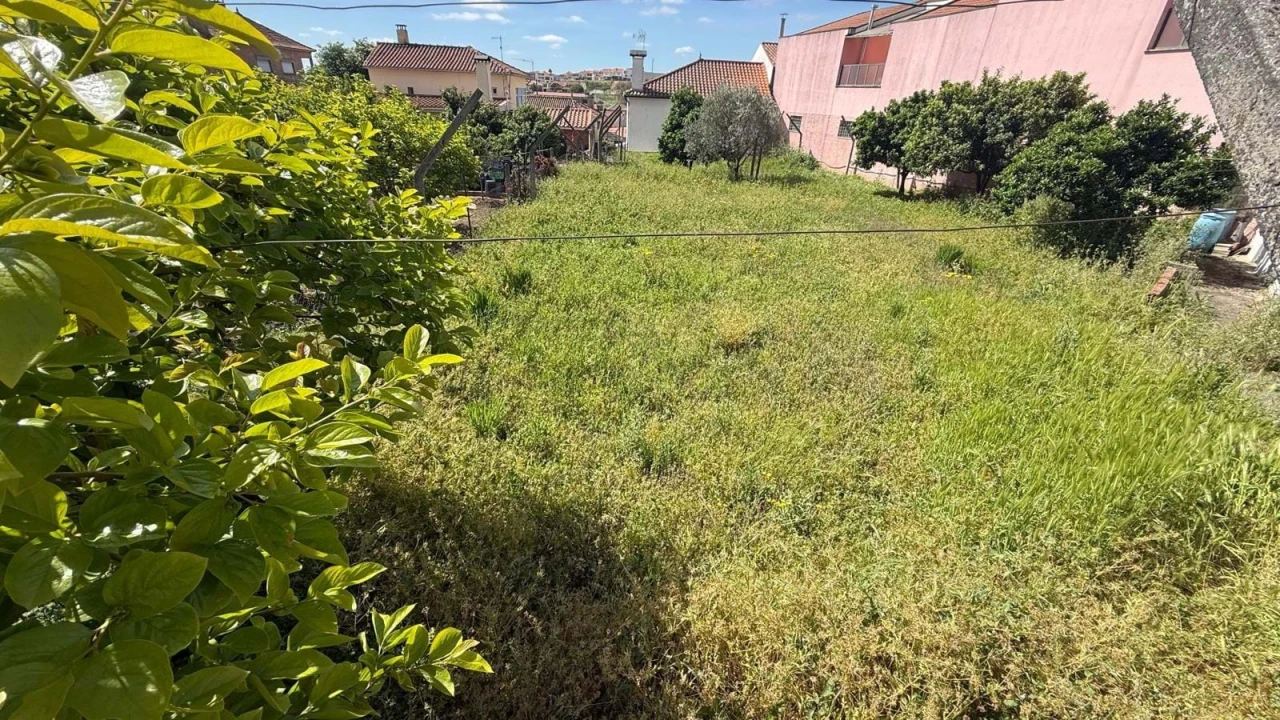 Terreno para Venda em Vila Flor e Nabo Foto 4