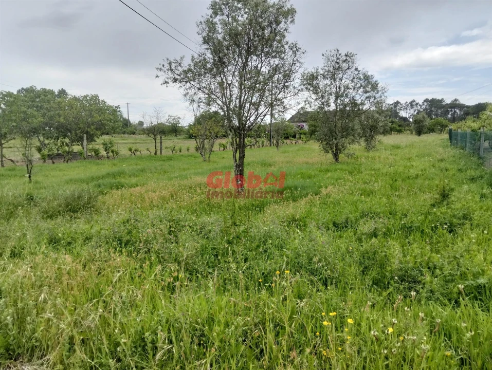 Terreno para Venda em Fragosela Foto 1