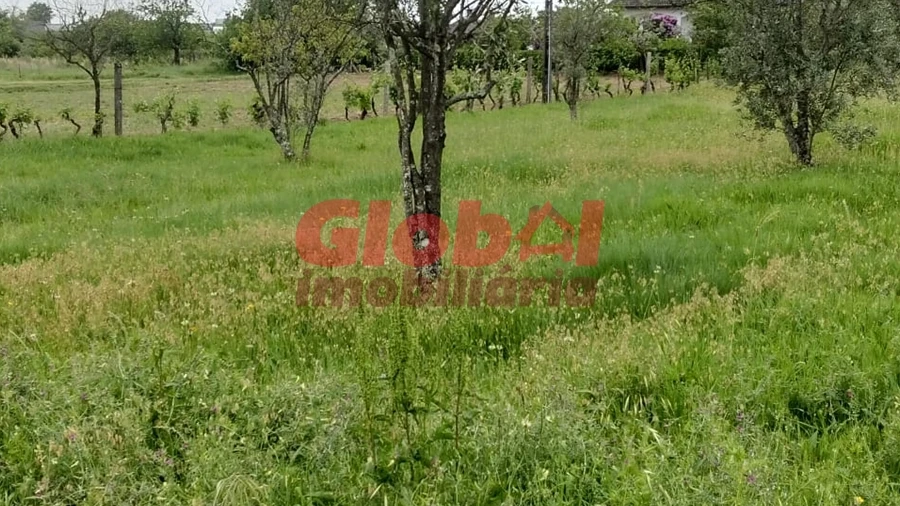 Terreno para Venda em Fragosela