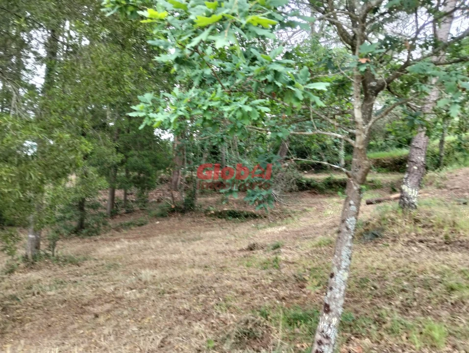 Terreno Agricola ou Rústico para Venda em Fragosela Foto 1
