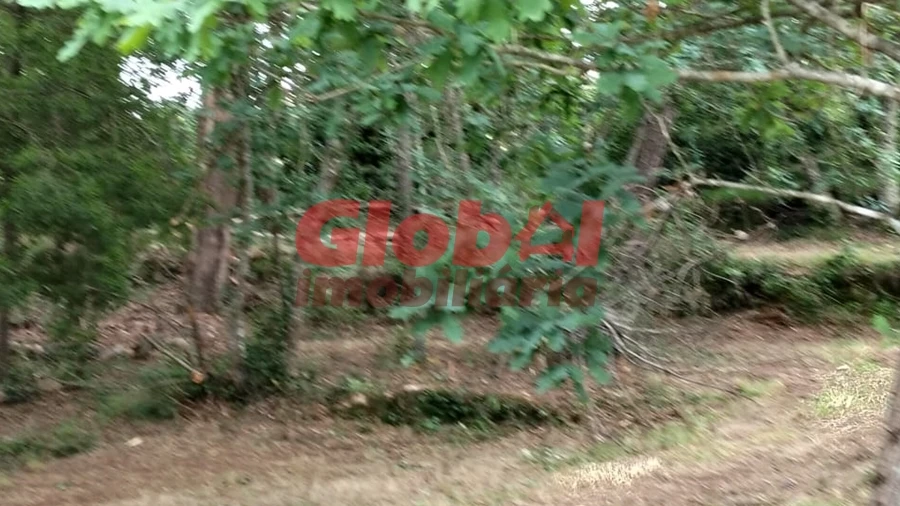 Terreno Agricola ou Rústico para Venda em Fragosela
