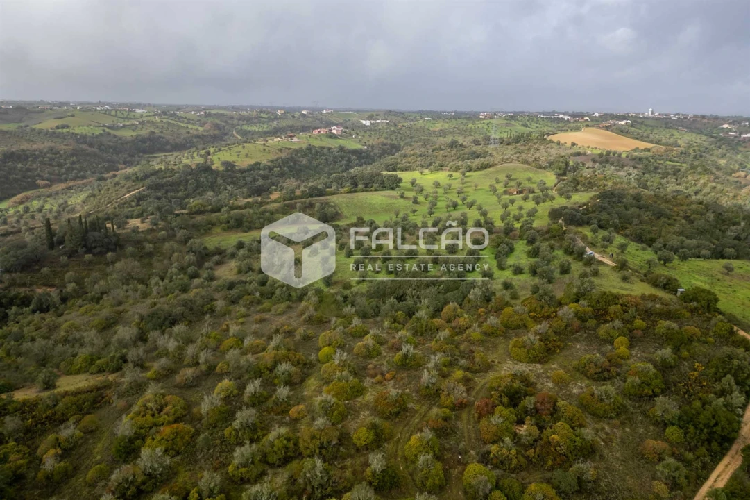 Terreno Misto para Venda em Pernes Foto 20
