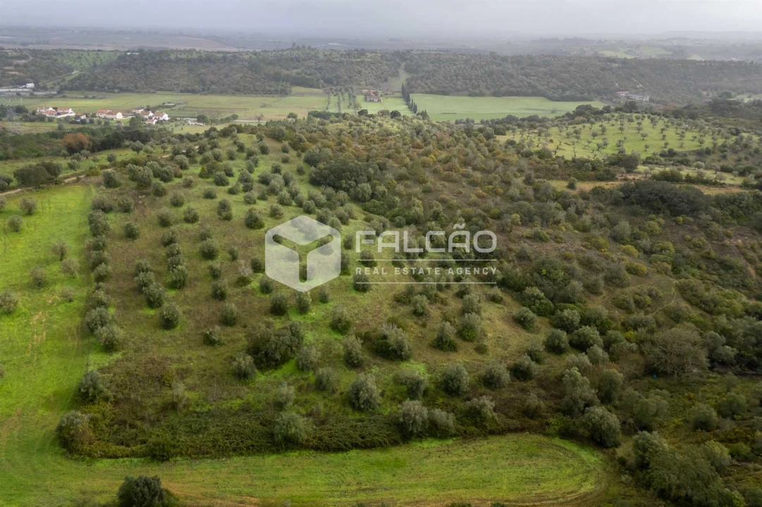 Terreno Misto para Venda em Pernes Foto 16