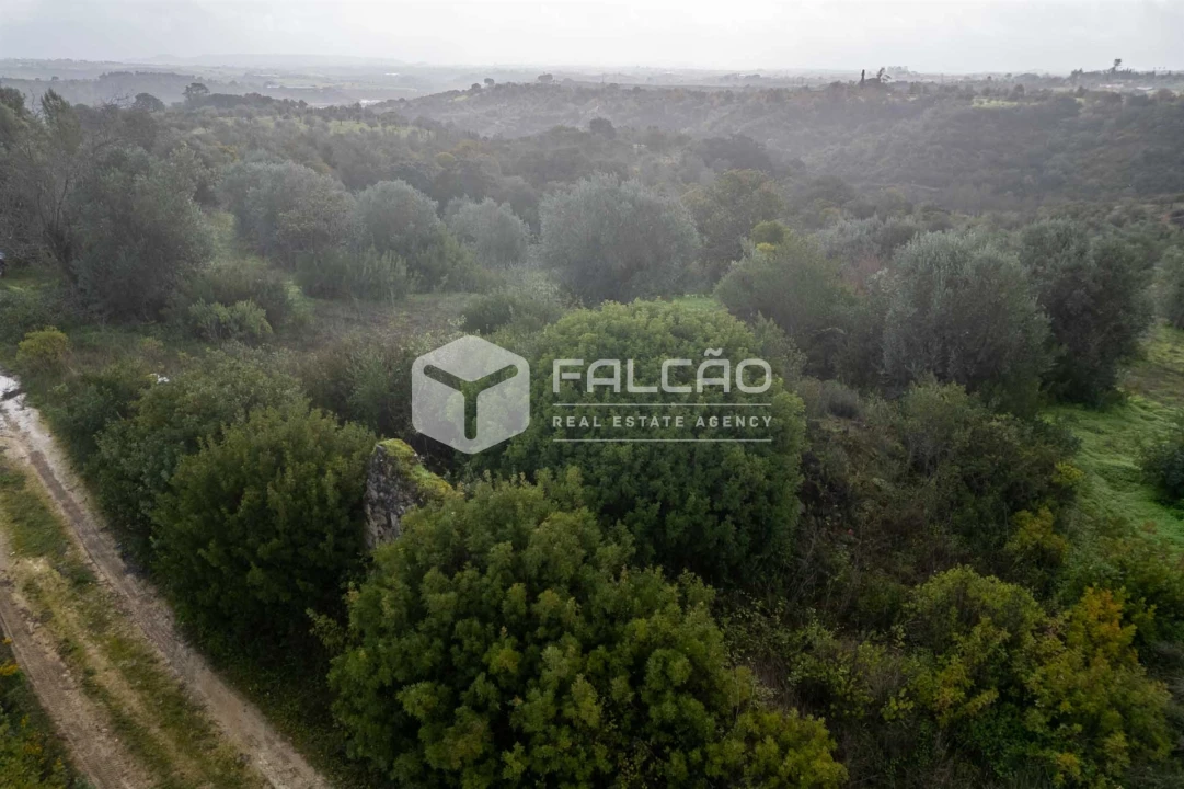 Terreno Misto para Venda em Pernes Foto 5