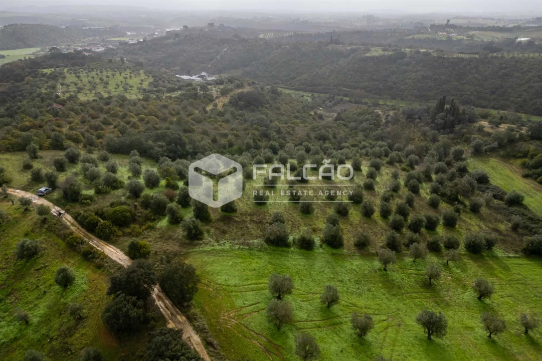 Terreno Misto para Venda em Pernes Foto 3