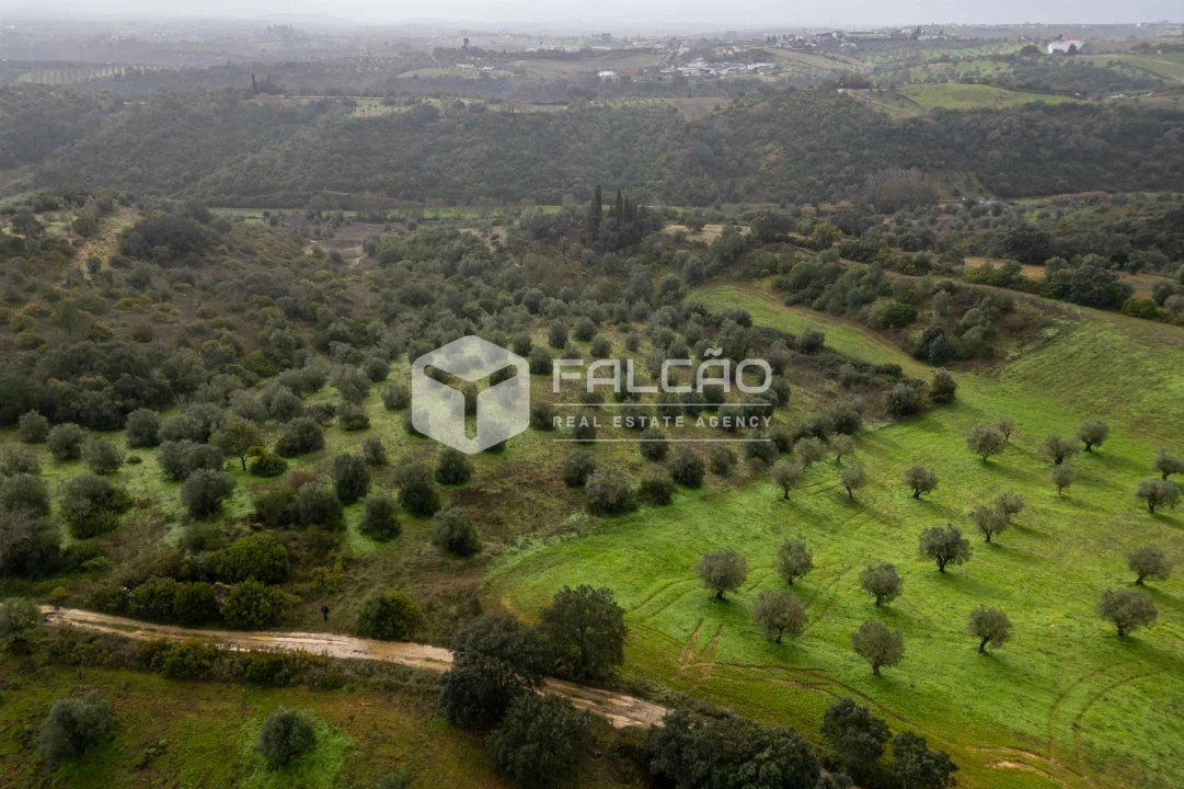 Terreno Misto para Venda em Pernes Foto 14