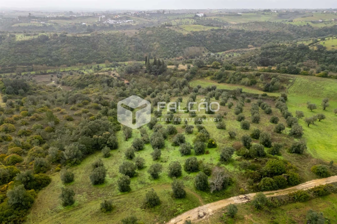 Terreno Misto para Venda em Pernes Foto 12