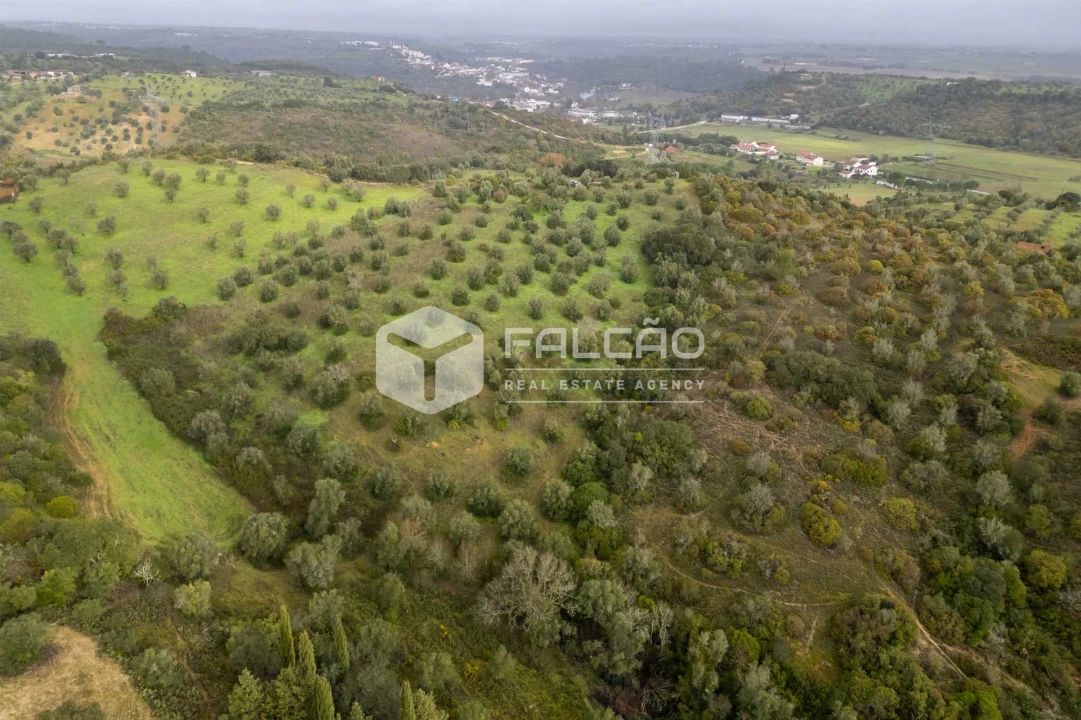 Terreno Misto para Venda em Pernes Foto 18