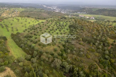 Terreno Misto para Venda em Pernes