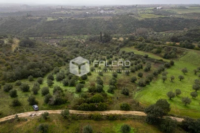 Terreno Misto para Venda em Pernes
