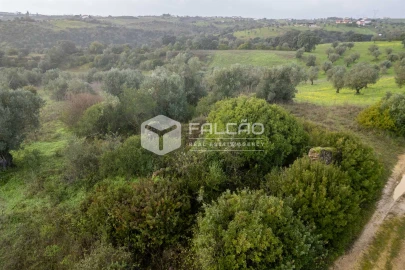 Terreno Misto para Venda em Pernes
