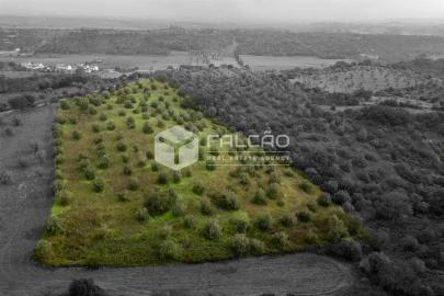 Terreno Misto para Venda em Pernes
