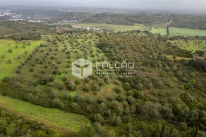 Terreno Misto para Venda em Pernes