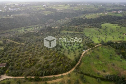 Terreno Misto para Venda em Pernes