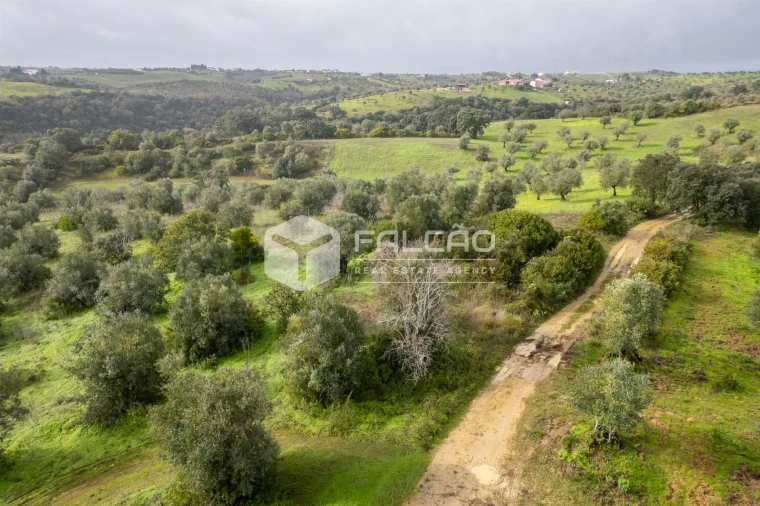 Terreno Misto para Venda em Pernes Foto 10