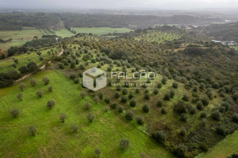 Terreno Misto para Venda em Pernes Foto 8