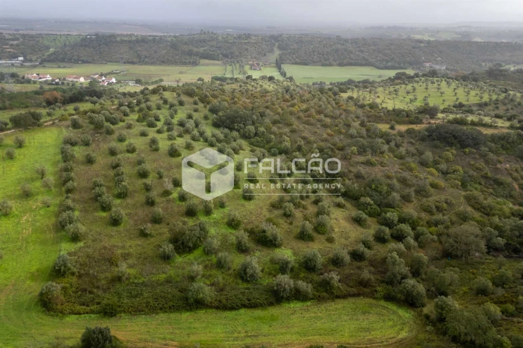 Terreno Misto para Venda em Pernes Foto 16