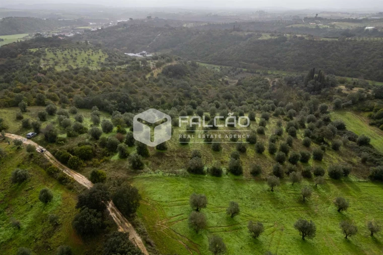 Terreno Misto para Venda em Pernes Foto 3