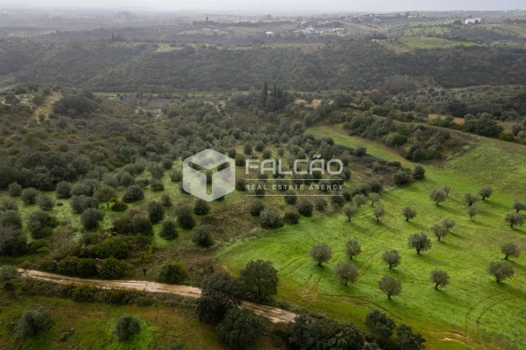 Terreno Misto para Venda em Pernes Foto 14