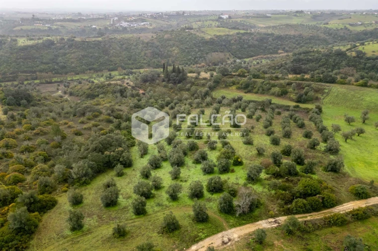 Terreno Misto para Venda em Pernes Foto 12