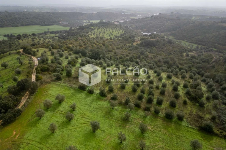 Terreno Misto para Venda em Pernes Foto 4