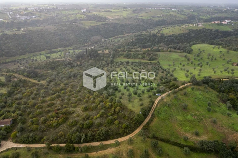 Terreno Misto para Venda em Pernes Foto 26