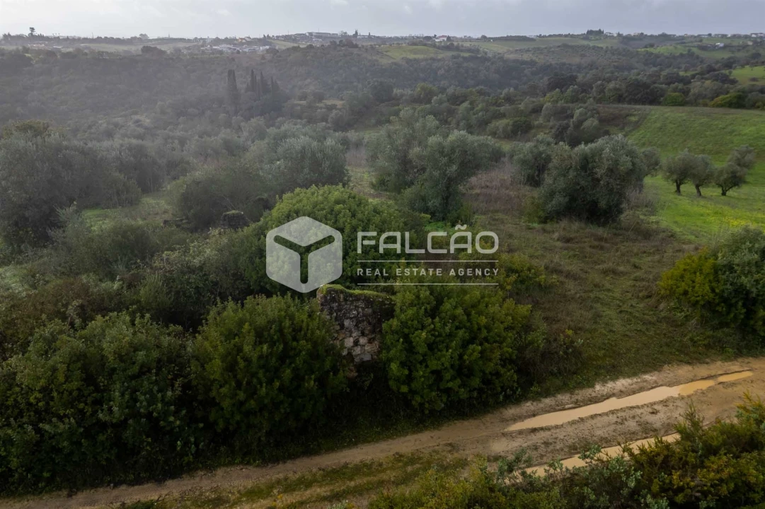 Terreno Misto para Venda em Pernes Foto 1