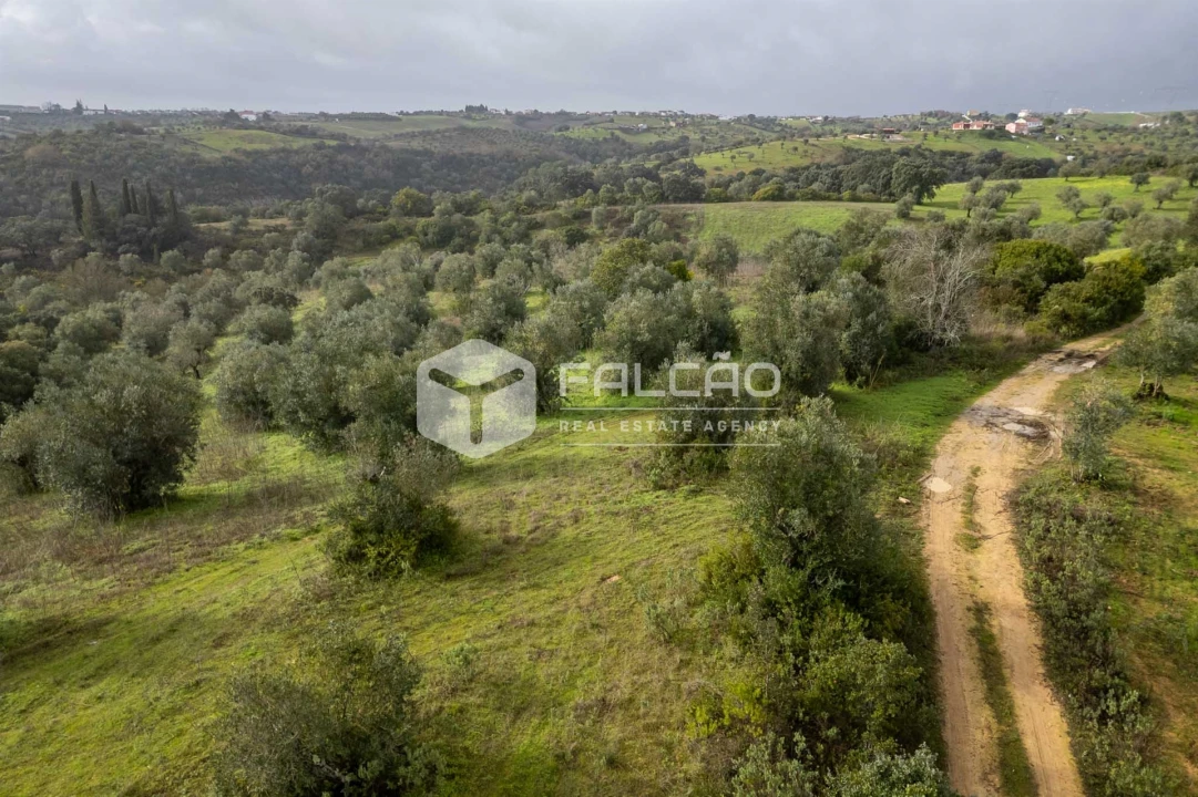 Terreno Misto para Venda em Pernes Foto 11