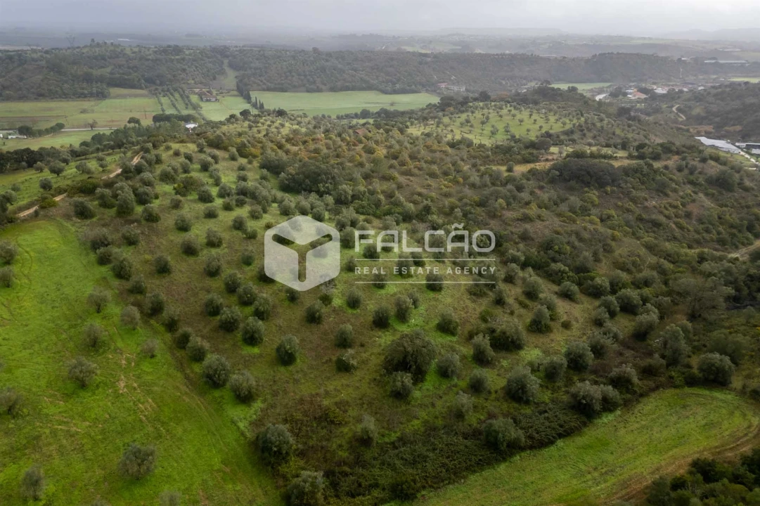 Terreno Misto para Venda em Pernes Foto 15