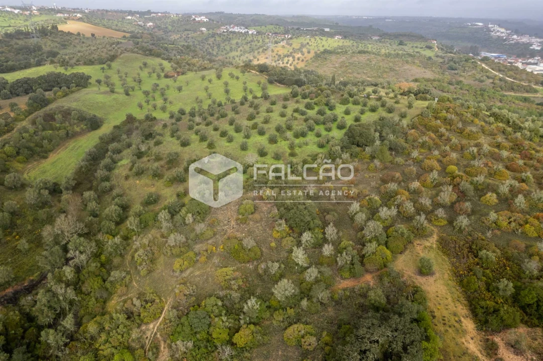 Terreno Misto para Venda em Pernes Foto 19
