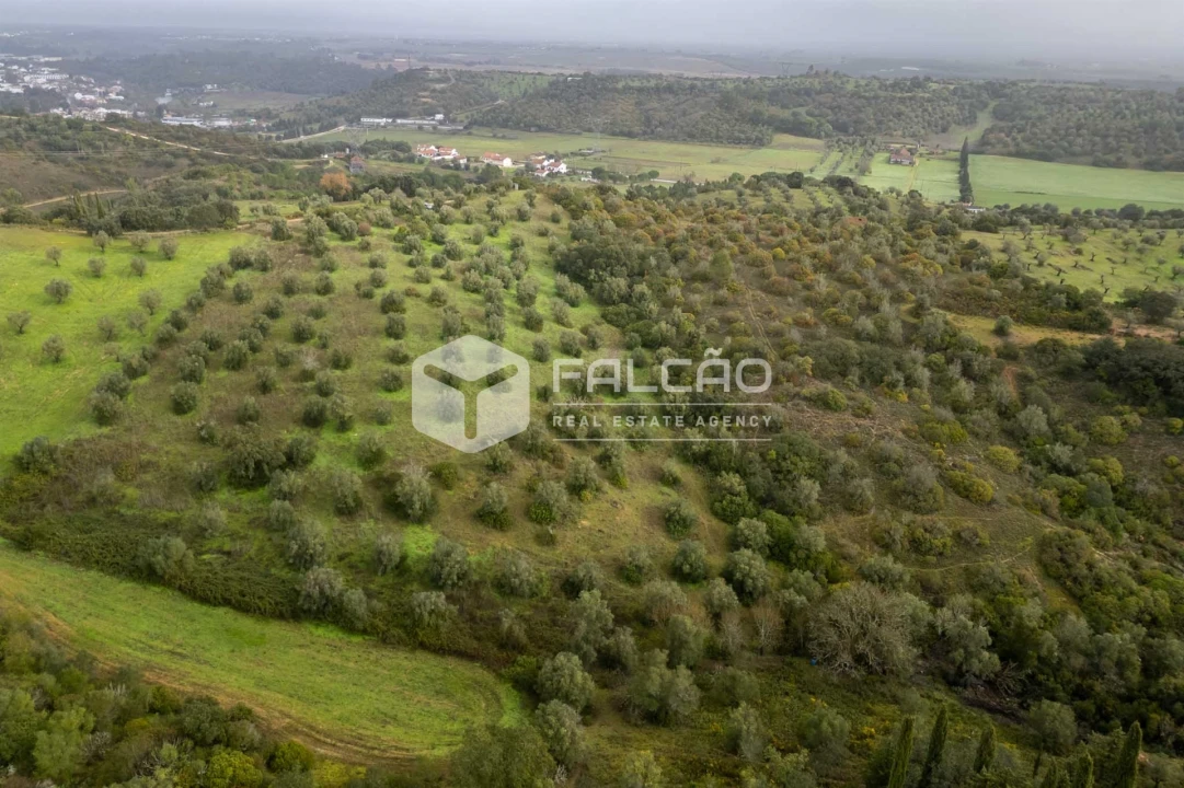 Terreno Misto para Venda em Pernes Foto 17