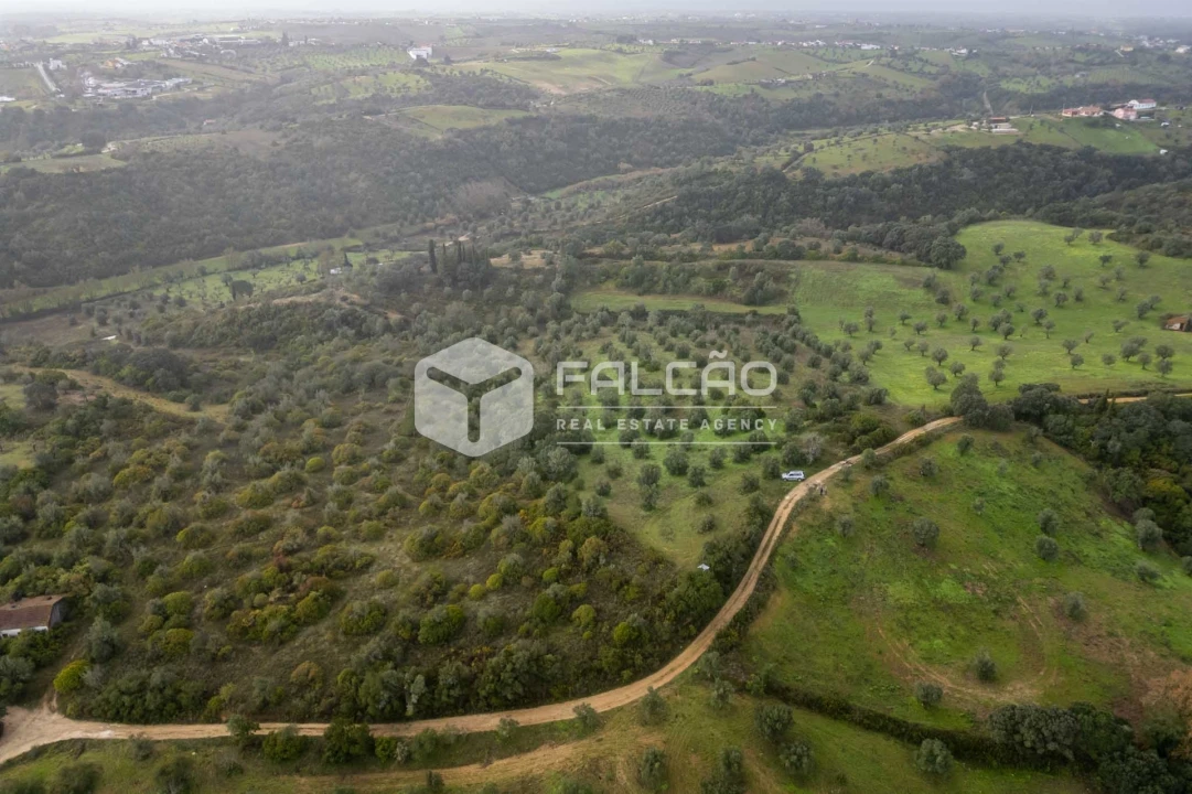 Terreno Misto para Venda em Pernes Foto 26