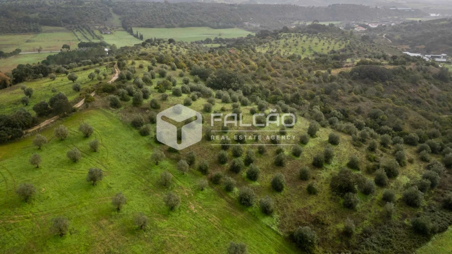 Terreno Misto para Venda em Pernes