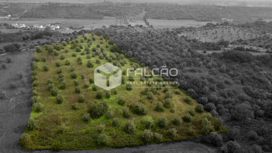 Terreno Misto para Venda em Pernes