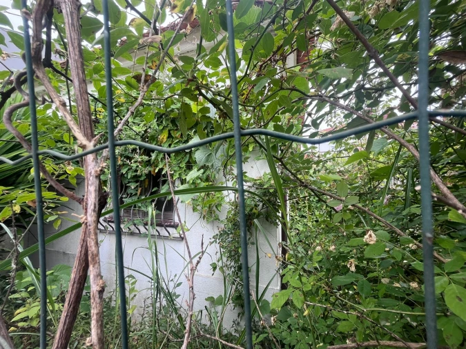 Terreno para Venda em Lordelo do Ouro e Massarelos Foto 8