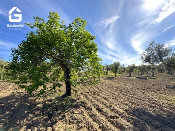 Quinta T2 para Venda em Ladoeiro