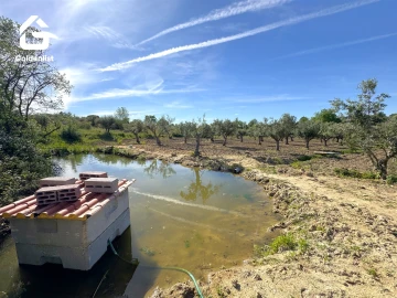 Quinta T2 para Venda em Ladoeiro