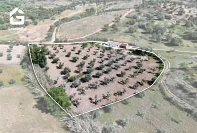 Quinta T2 para Venda em Ladoeiro