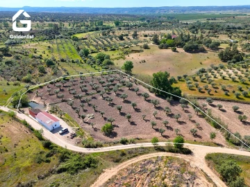 Quinta T2 para Venda em Ladoeiro