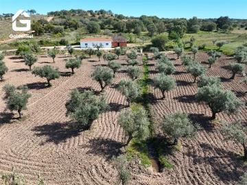 Quinta T2 para Venda em Ladoeiro