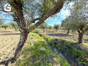 Quinta T2 para Venda em Ladoeiro