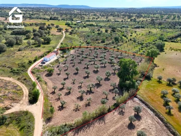 Quinta T2 para Venda em Ladoeiro