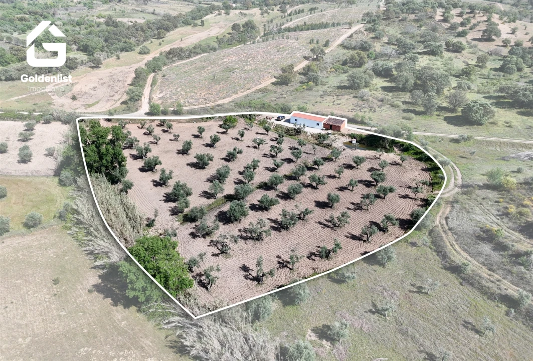 Quinta T2 para Venda em Ladoeiro Foto 3