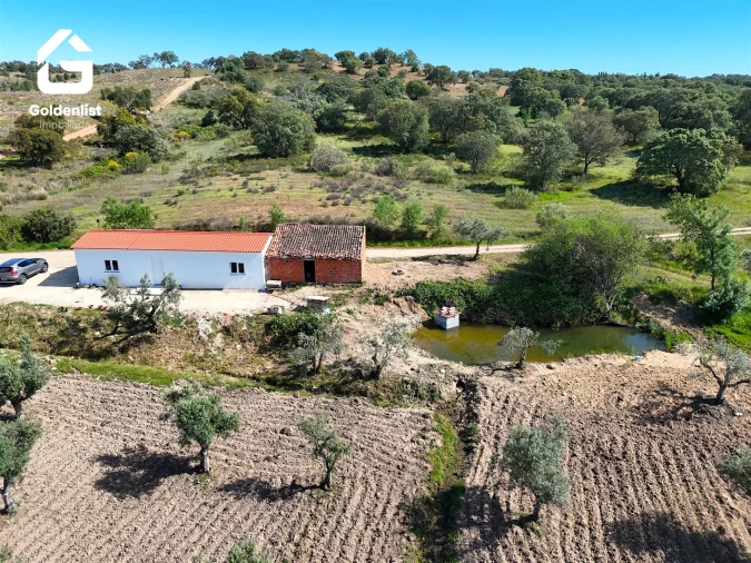 Quinta T2 para Venda em Ladoeiro Foto 4