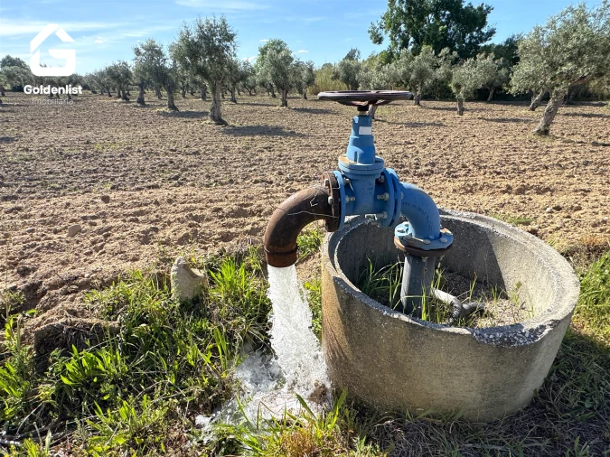 Quinta T2 para Venda em Ladoeiro Foto 34