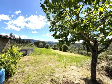 Moradia T3 para Venda em Côja e Barril de Alva