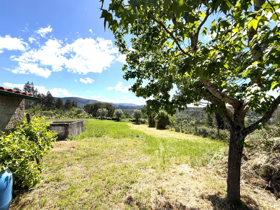 Moradia T3 para Venda em Côja e Barril de Alva Foto 31